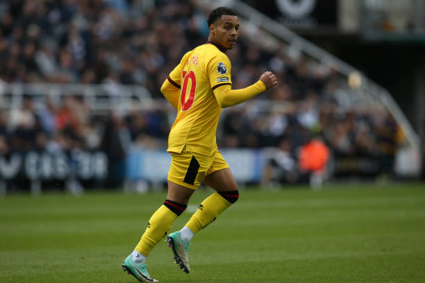 態的活力 態的活力